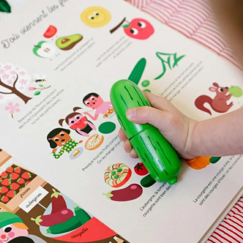 Livre Ma grande épicerie : les essentiels du quotidien illustrés et expliqués aux enfants