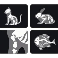 Malette de vétérinaire (15 pièces)