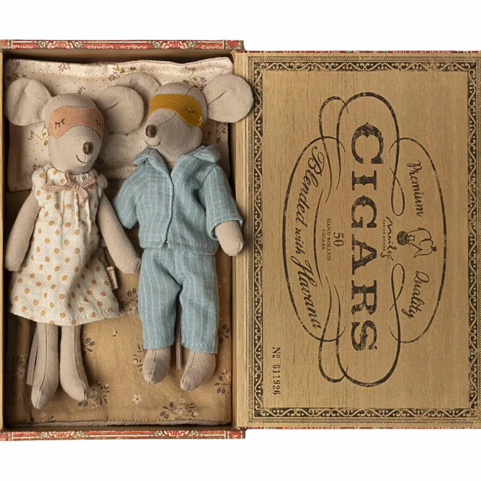Maman et papa souris dans une boîte à cigares