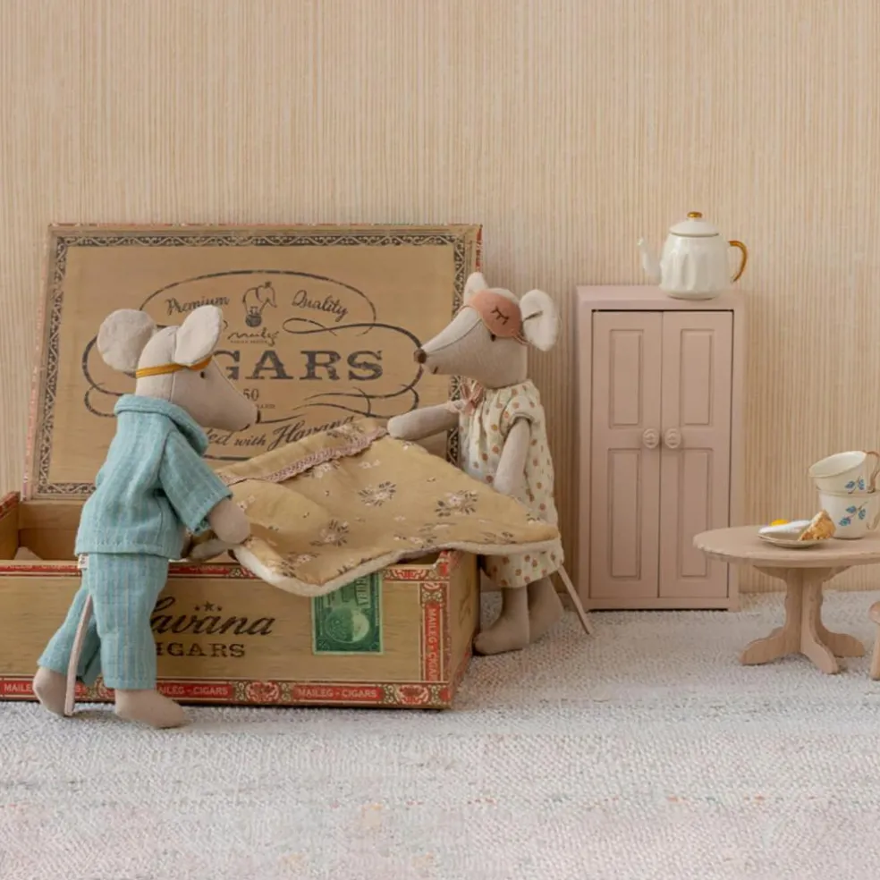 Maman et papa souris dans une boîte à cigares