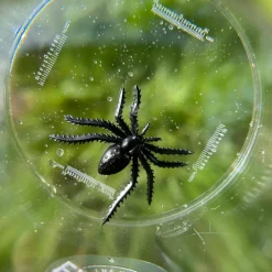 Méga boîte loupe Découverte du Monde