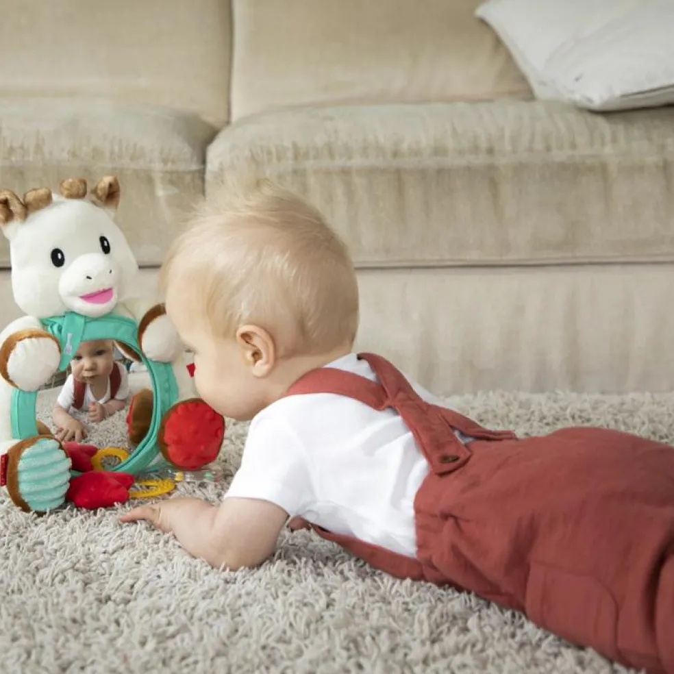 Miroir d'activités multi-supports Sophie la girafe