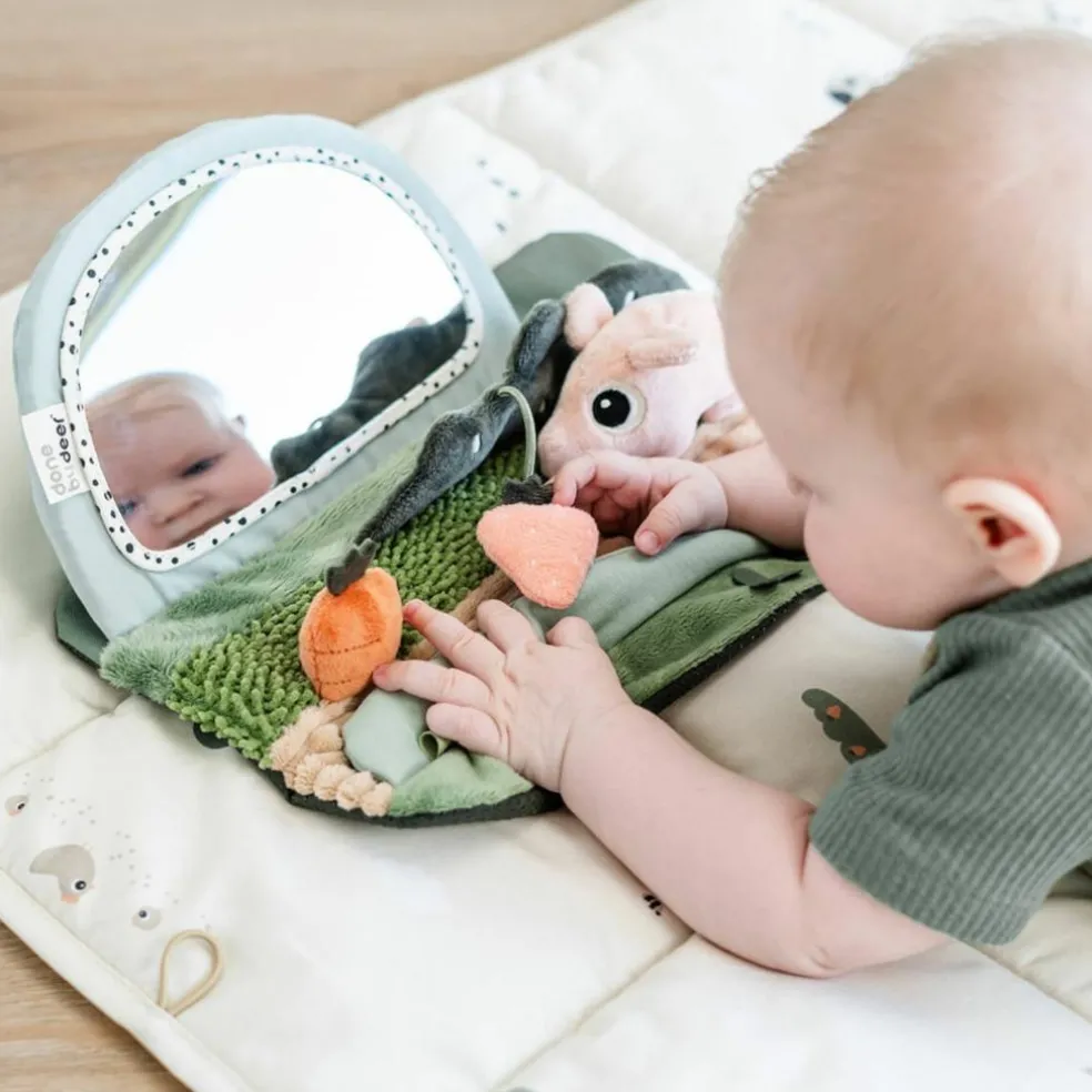 Miroir d'éveil Tummy time Tiny farm Multicolore