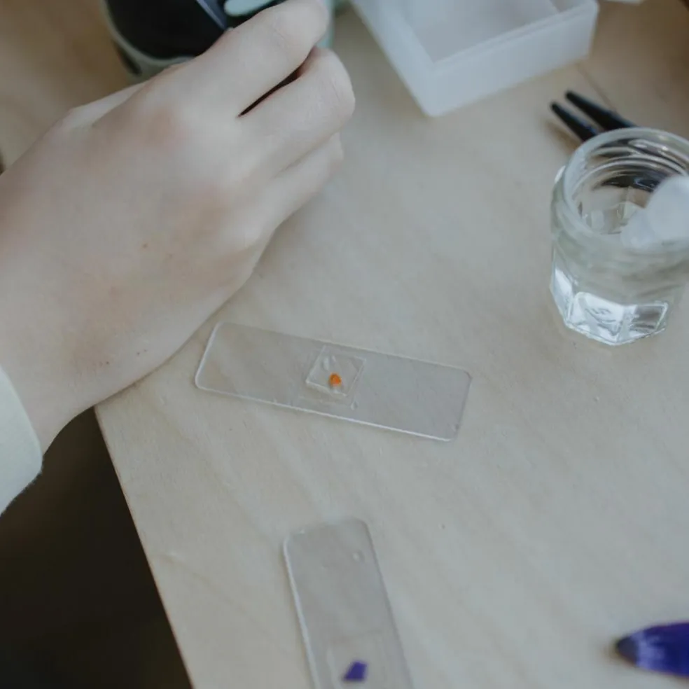 Miscroscope portable KIDYMICROSCOPE