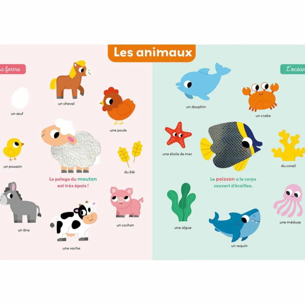 Mon premier imagier à toucher - Reconditionné