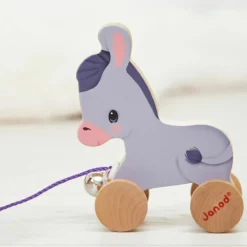 Âne à promener Ferme