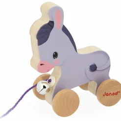 Âne à promener Ferme