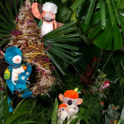 Peluche d'activités Koco le koala Dans la Jungle