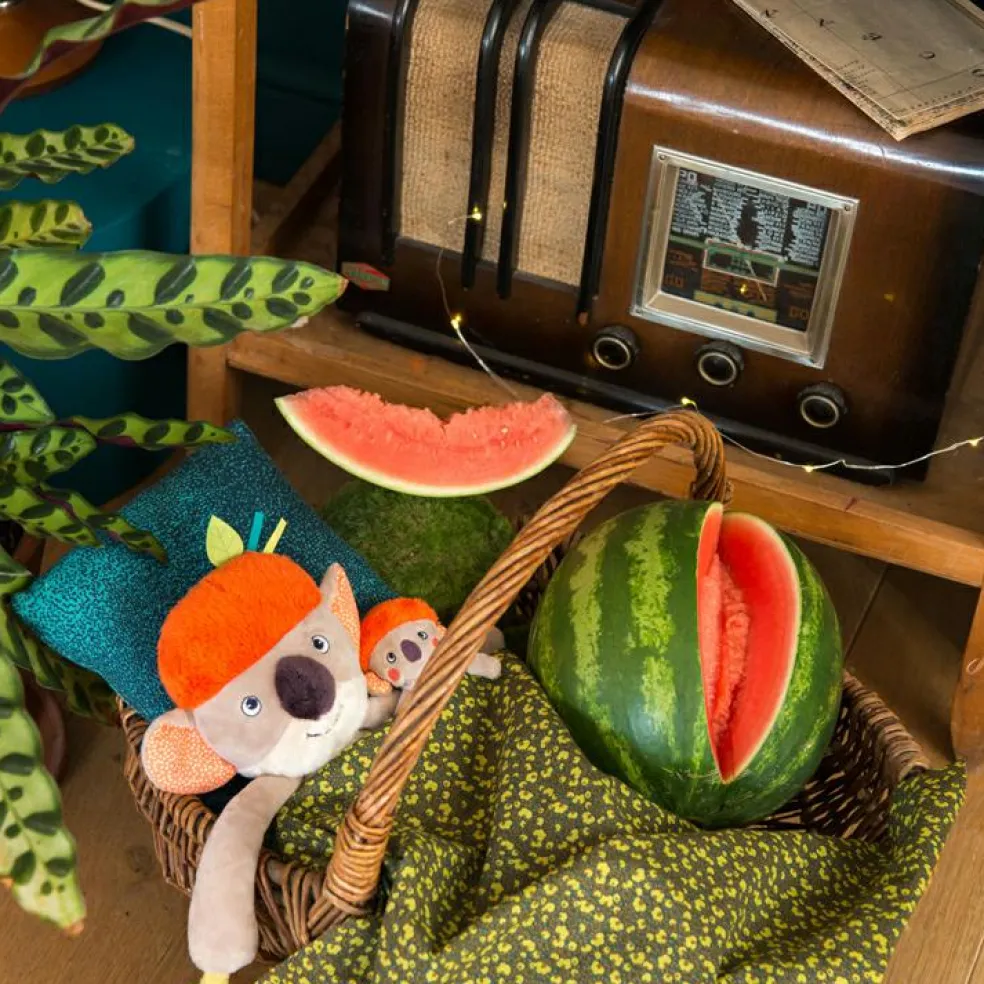 Peluche d'activités Koco le koala Dans la Jungle