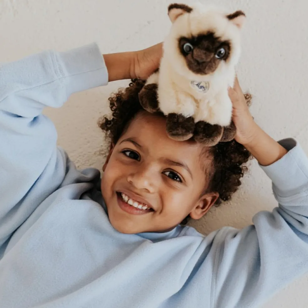 Peluche Eddie le Siamois (17 cm)