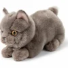 Peluche Freddy le Brittish Shorthair (20 cm)
