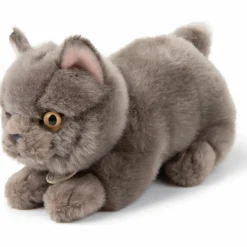 Peluche Freddy le Brittish Shorthair (20 cm)