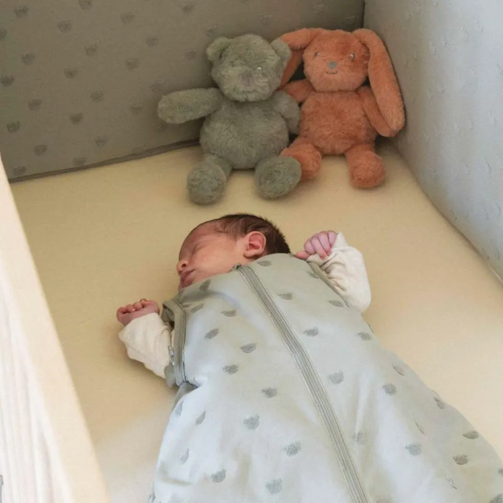 Peluche musicale Hop (35 cm)