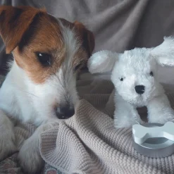 Petit chien avec son sac