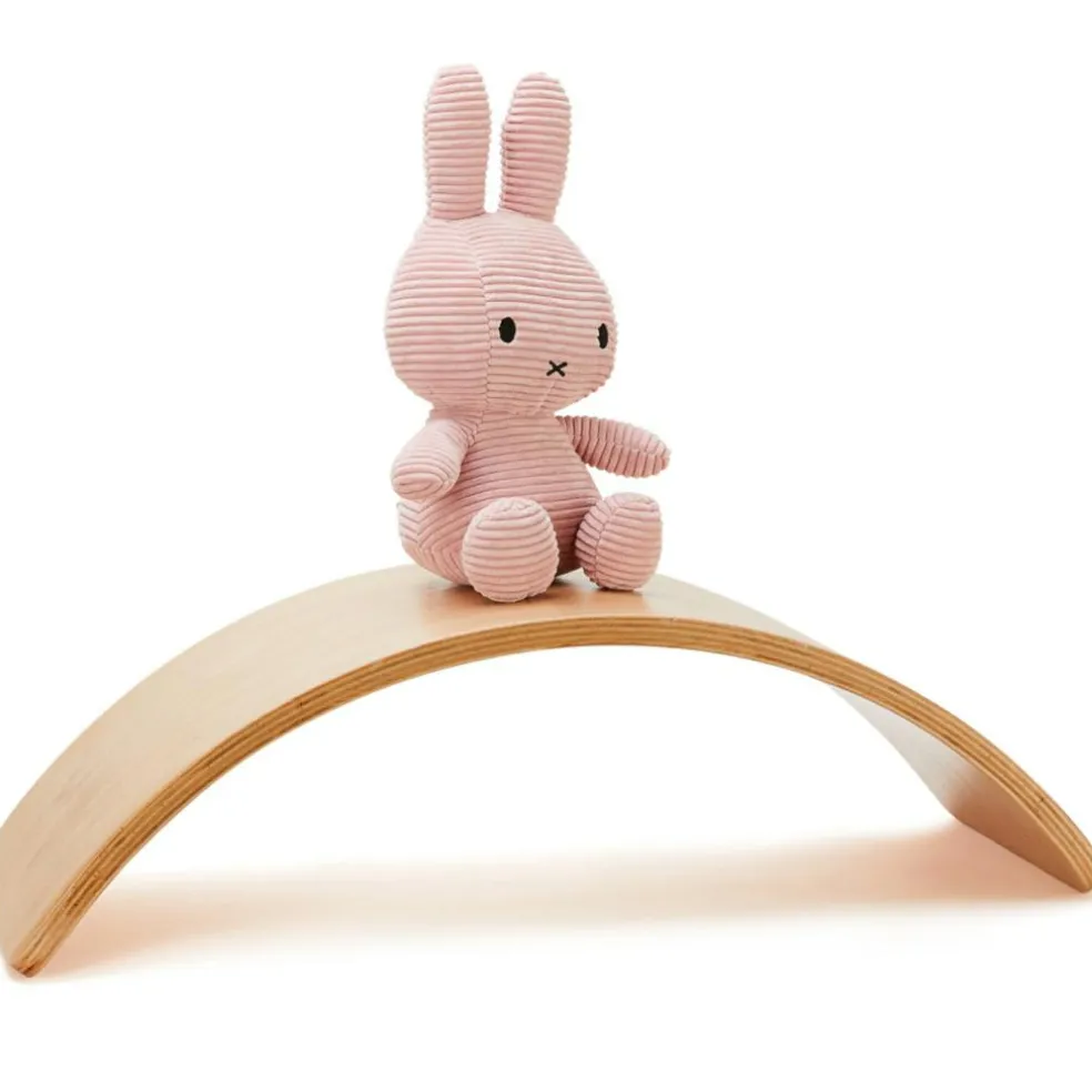 Planche d'équilibre avec ses 10 cartes de Yoga