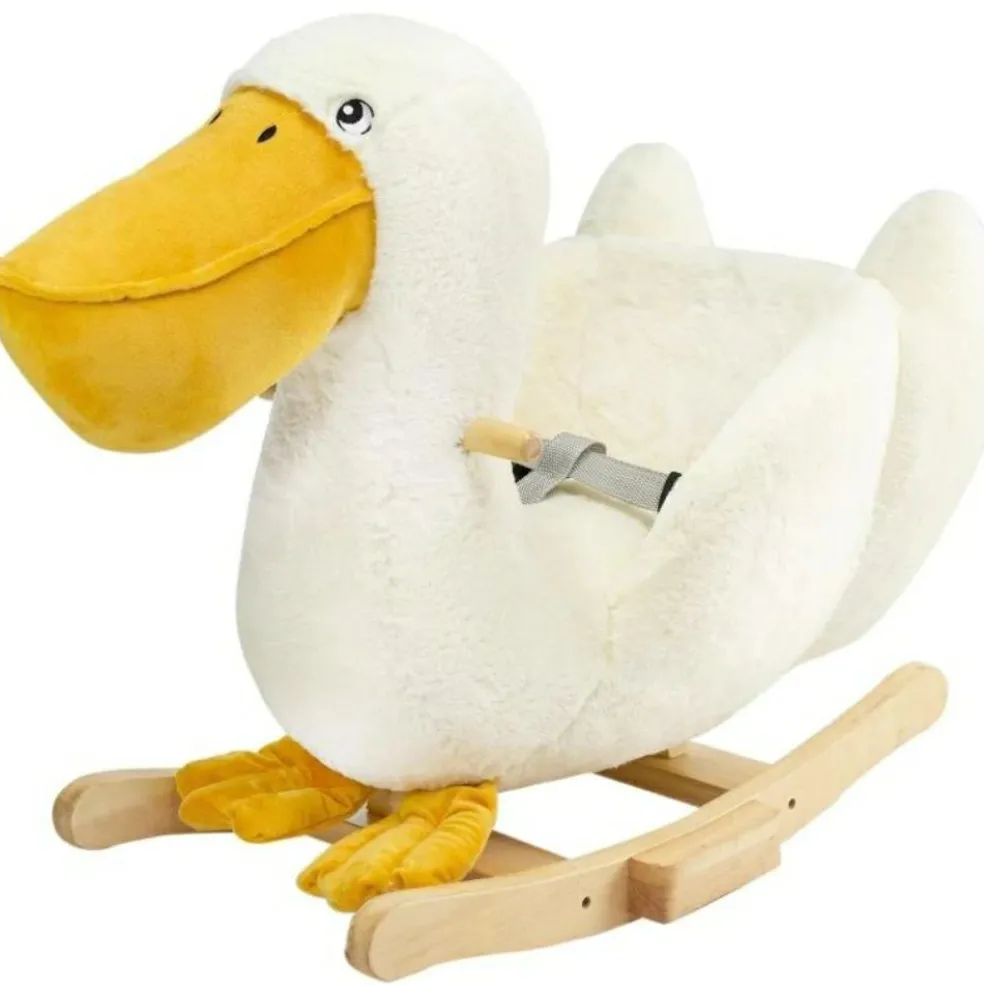 Pélican à bascule Au large de Nova