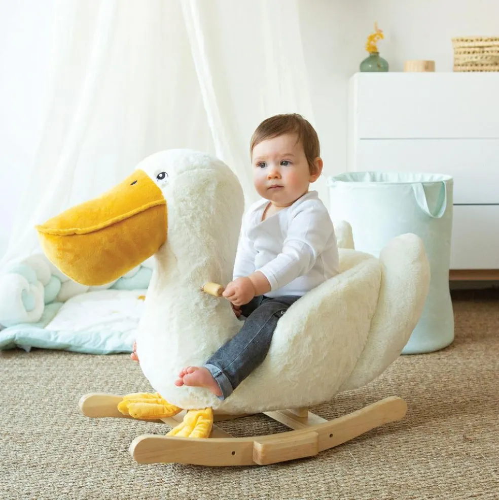 Pélican à bascule Au large de Nova