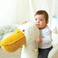 Pélican à bascule Au large de Nova