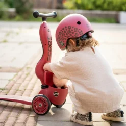 Porteur évolutif en Highwaykick 1 Lifestyle Wildcat