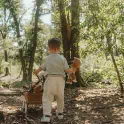Poupée Sam Forest Friends (35 cm)