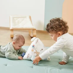 Pyramide d'activités sonores Souris