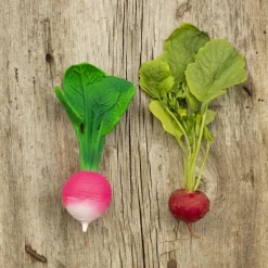 Ramona le radis en latex d'hévéa