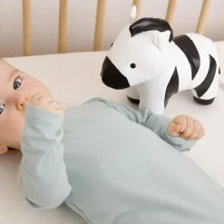 Robert le Zèbre Les Animaux Musicaux