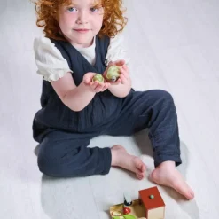 Set animal de compagnie tortue