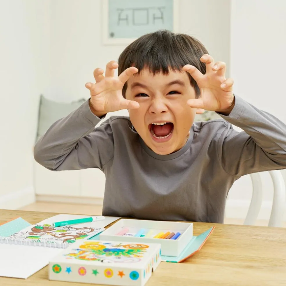 Set de coloriage zoo