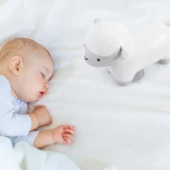 Simon le Mouton Les Animaux Musicaux