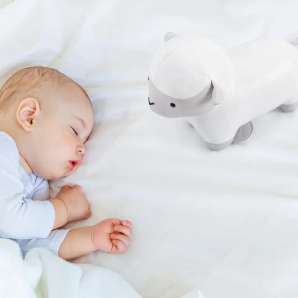 Simon le Mouton Les Animaux Musicaux