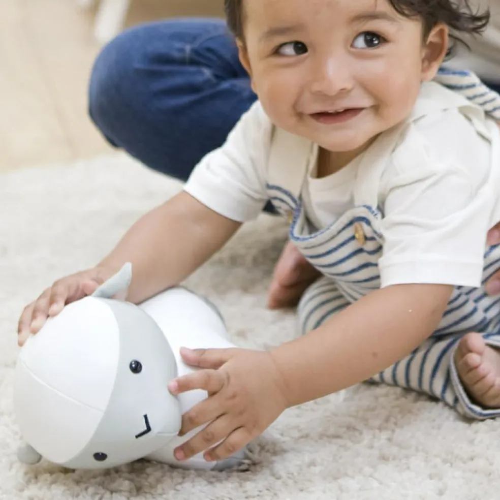 Simon le Mouton Les Animaux Musicaux