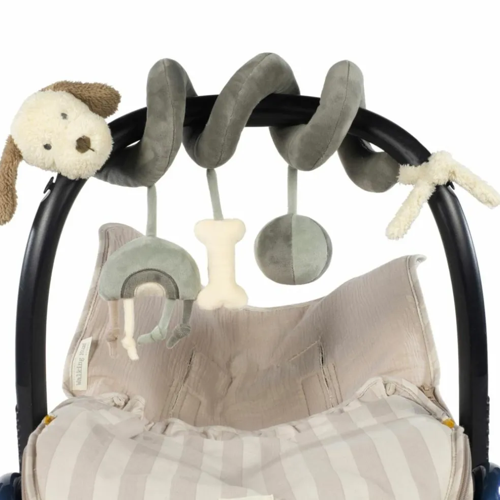 Spirale d'activité Chien Sintra Vert