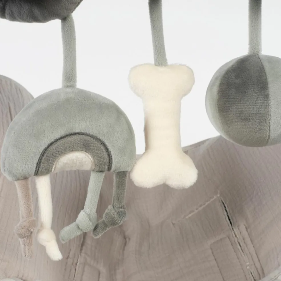 Spirale d'activité Chien Sintra Vert