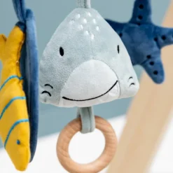 Spirale d’activités Mr. Shark