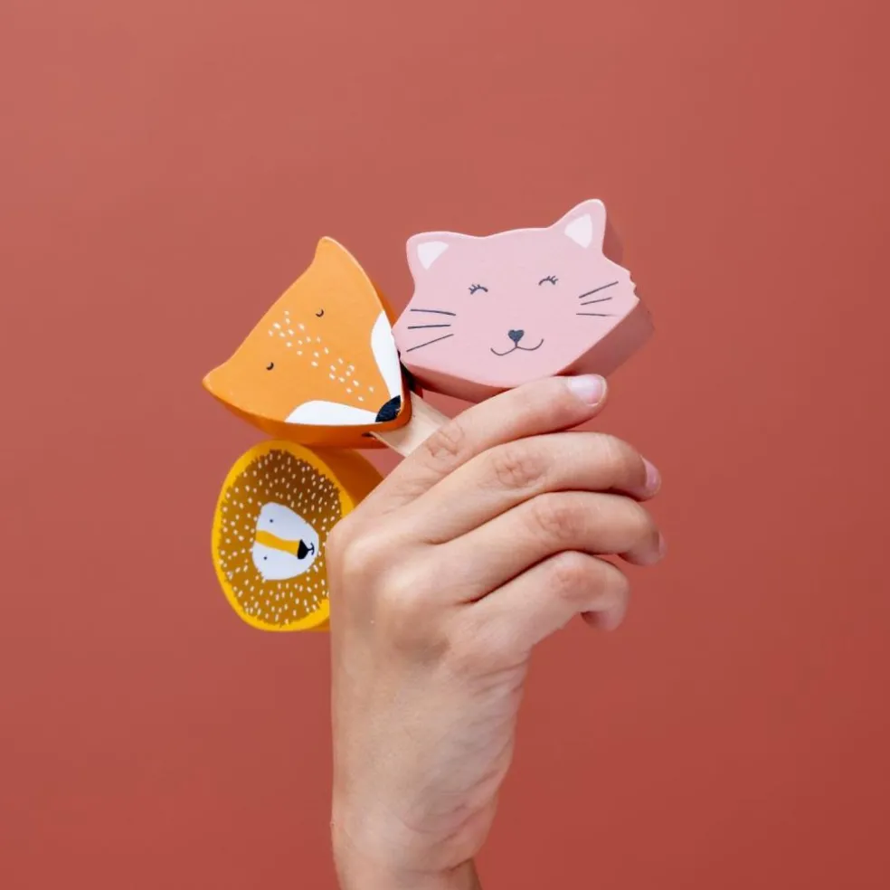 Stand de glaces en bois