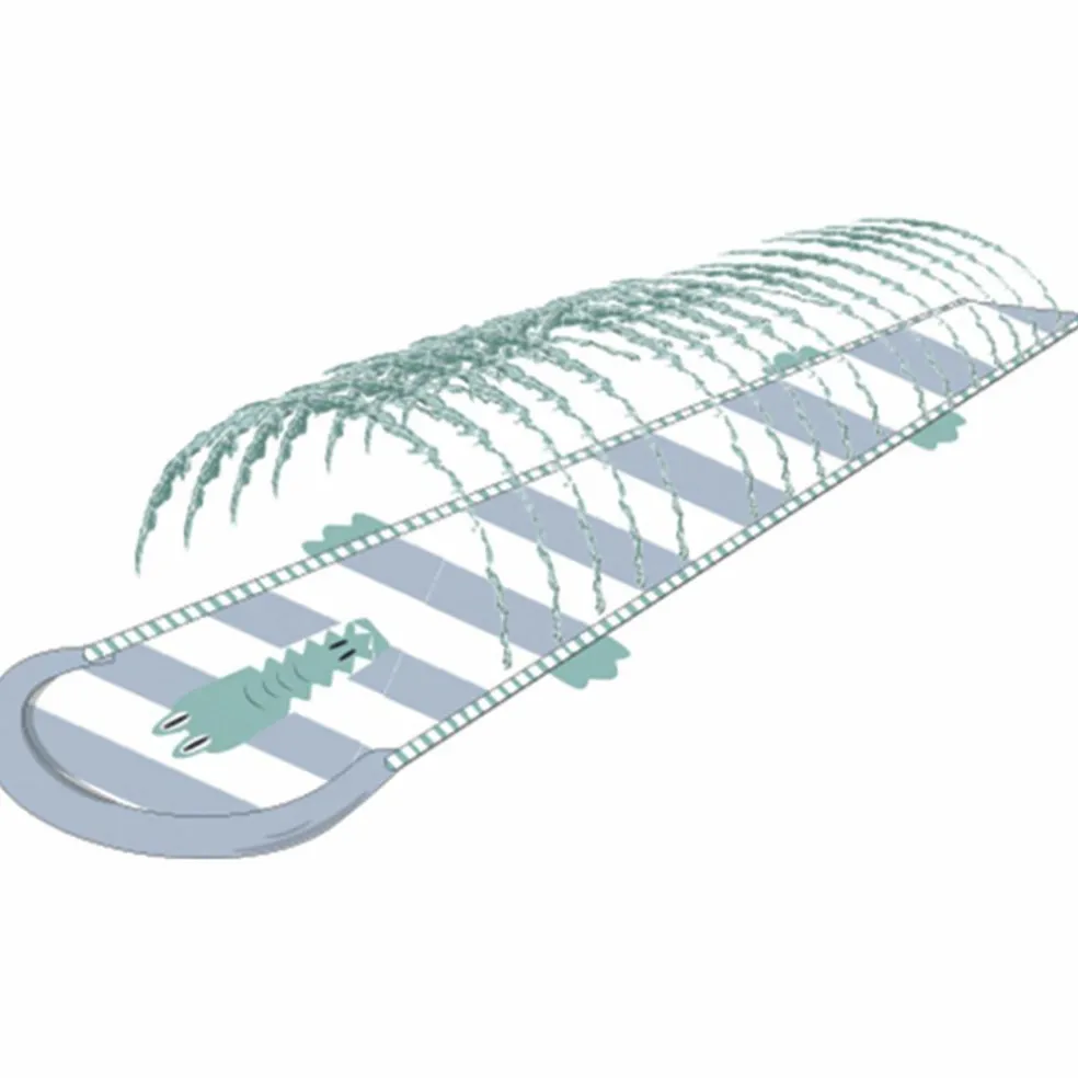 Tapis de glisse arroseur Crocodile