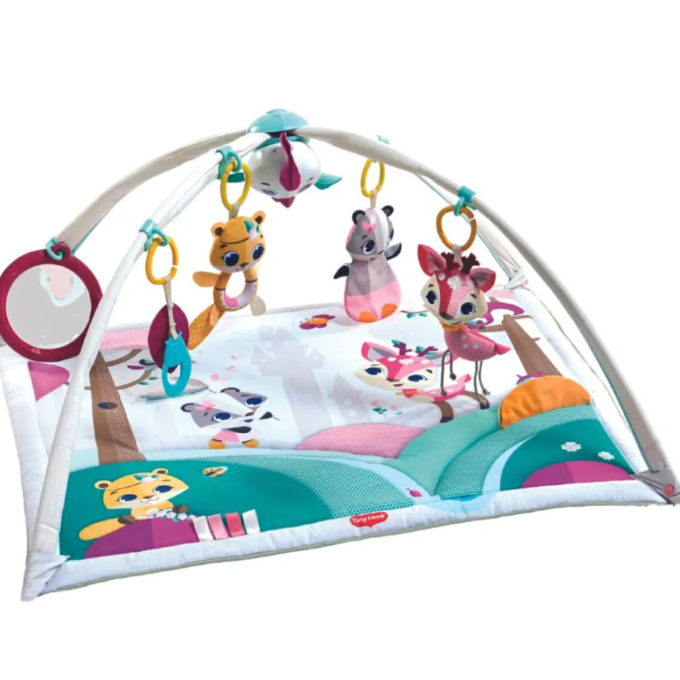 Tapis d'éveil Gymini Deluxe Princesse (88 x 78 cm)