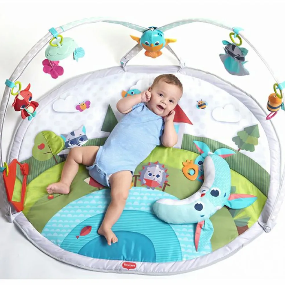 Tapis d'éveil Gymini Dynamic Dans la Prairie (110 x 90 cm)