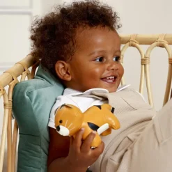 Tim le Tigre Les Petits Animaux