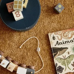 Train blocs de construction avec cubes naturel