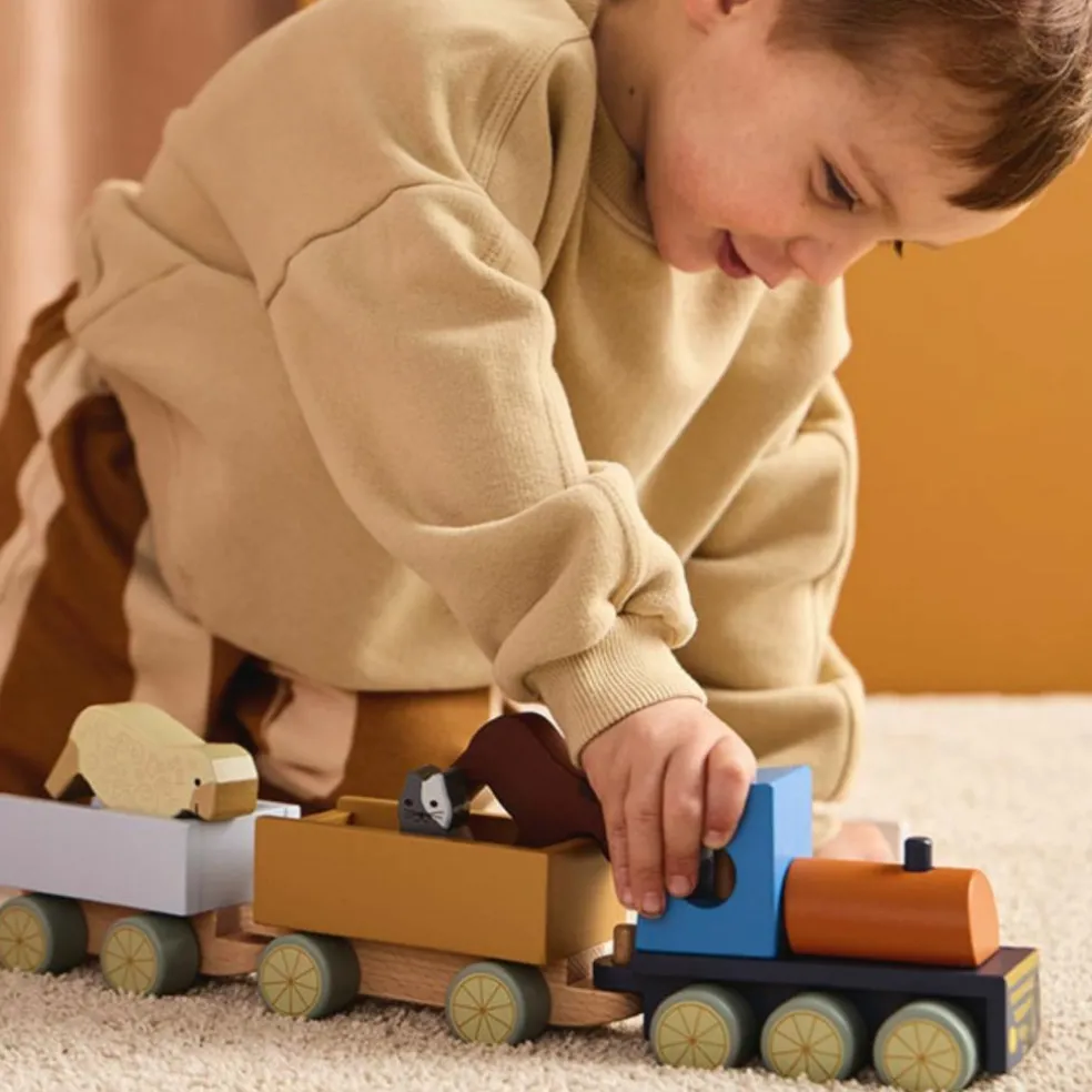 Train d'activités Animaux de la ferme Aiden