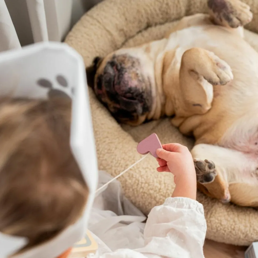 Valise vétérinaire